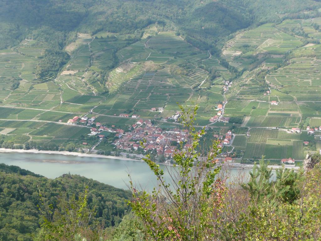 Weingut Langmayer Wösendorf 외부 사진