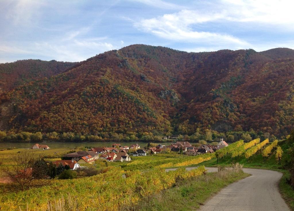 Weingut Langmayer Wösendorf 외부 사진