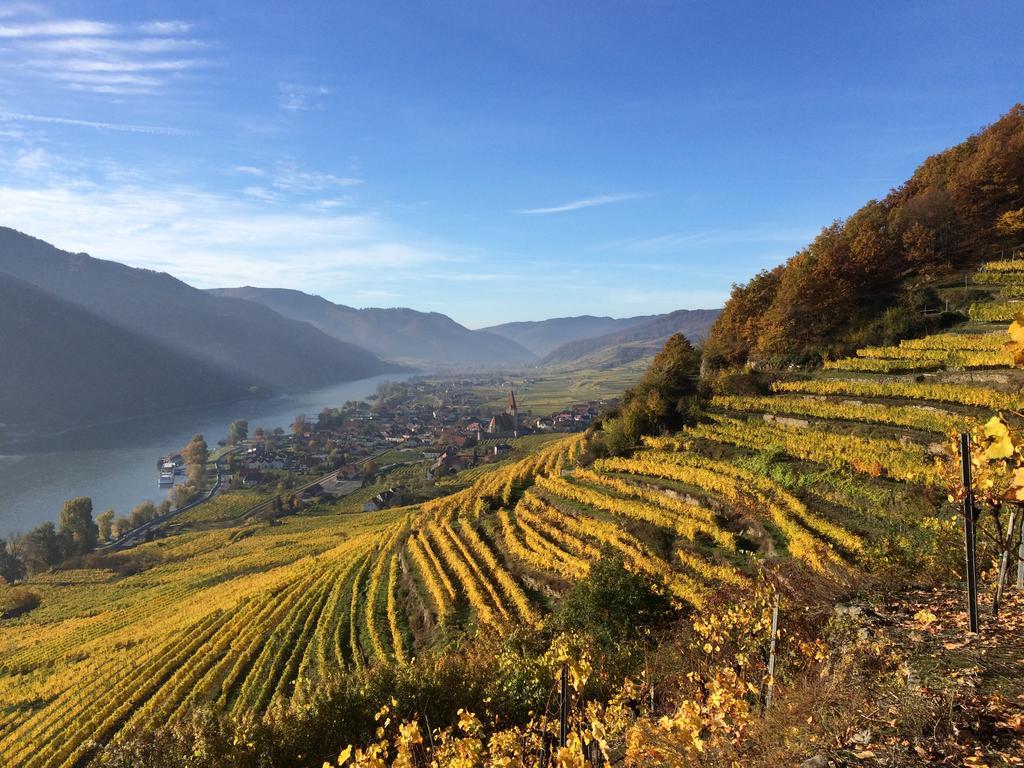 Weingut Langmayer Wösendorf 외부 사진