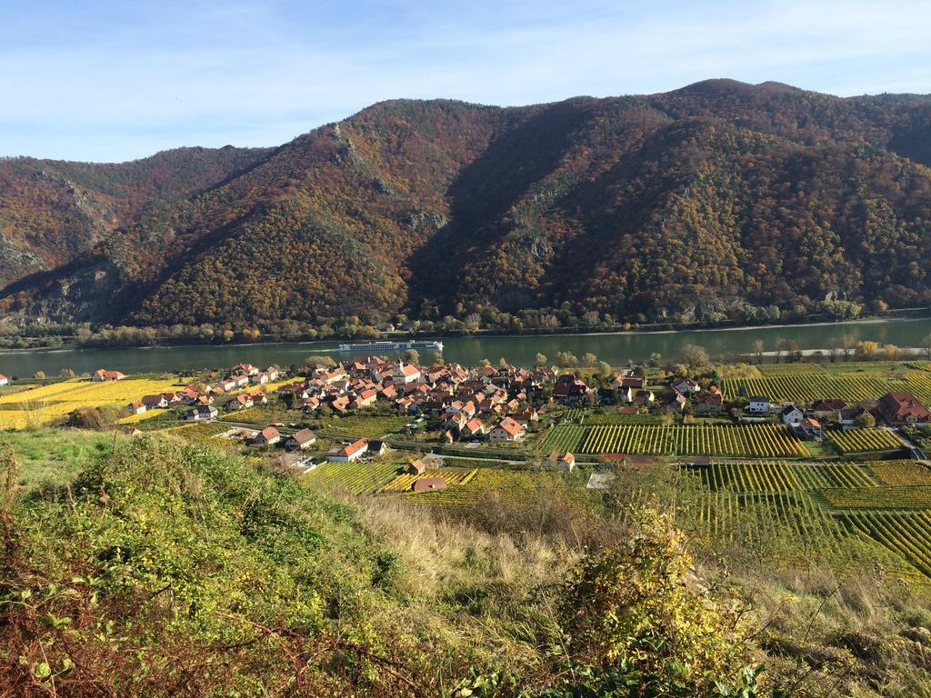 Weingut Langmayer Wösendorf 외부 사진